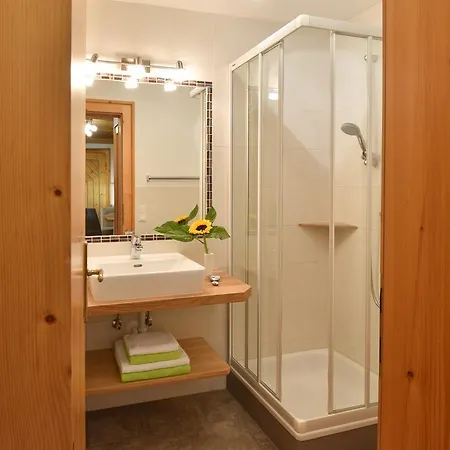 Landhaus Trinker Guest house Schladming